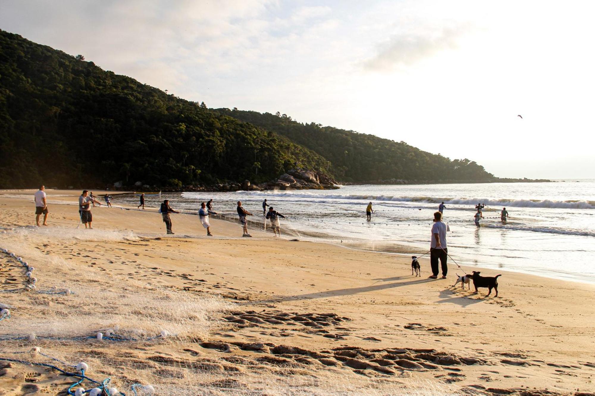 Res Ilha do Arvoredo Praia Grande Gov Celso Ramos Governador Celso Ramos Exterior foto